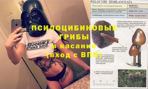 героин Алзамай